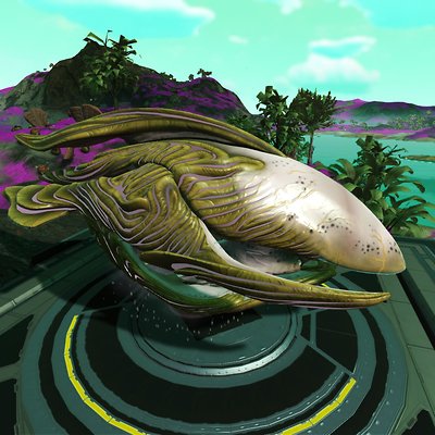 seed image