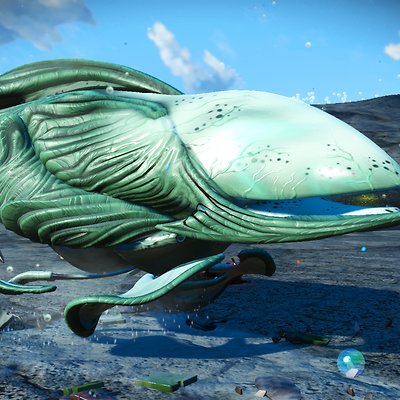 seed image