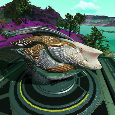 seed image