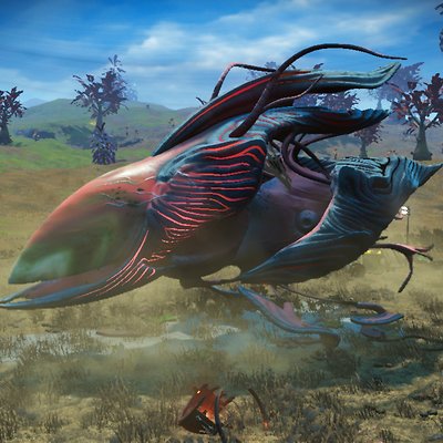 seed image