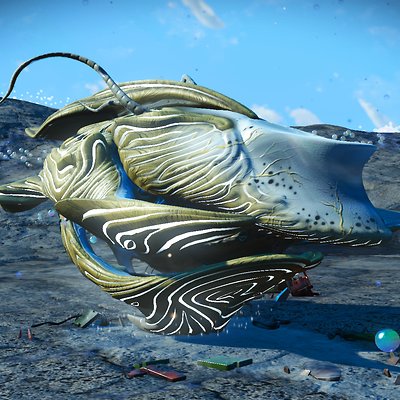 seed image
