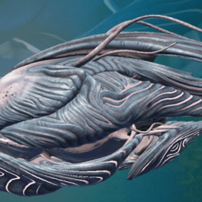 seed image