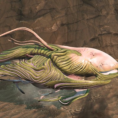 seed image