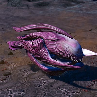 seed image