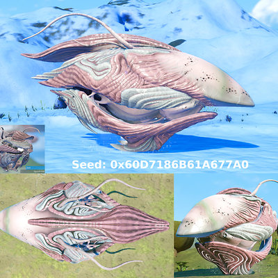 seed image