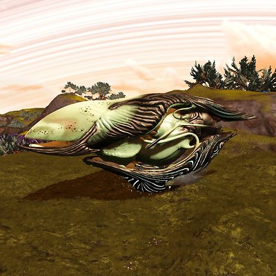 seed image