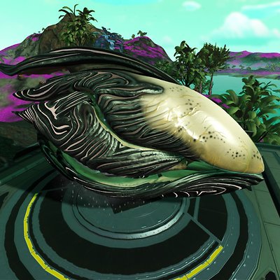seed image