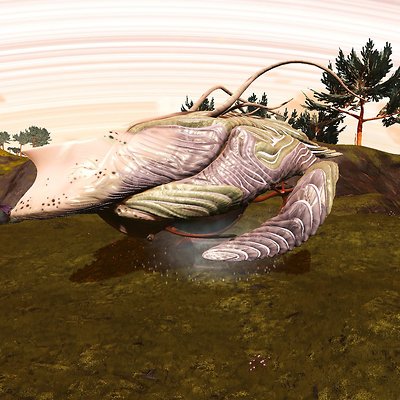 seed image
