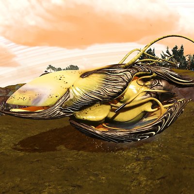 seed image