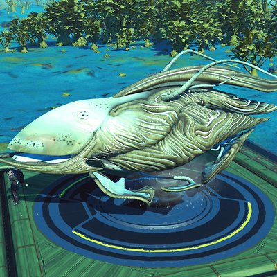 seed image