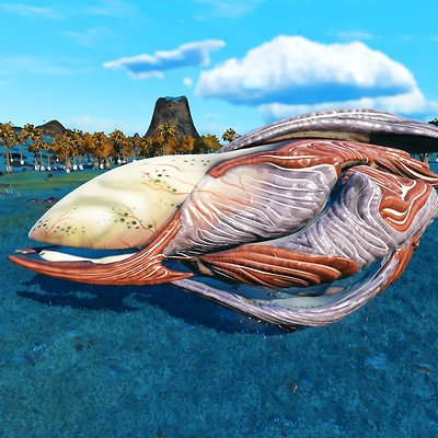 seed image