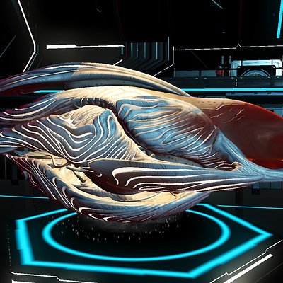 seed image