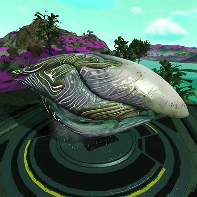 seed image