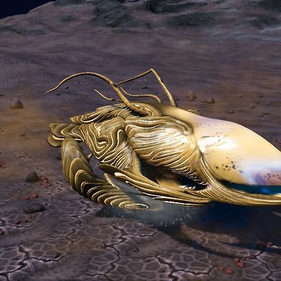 seed image