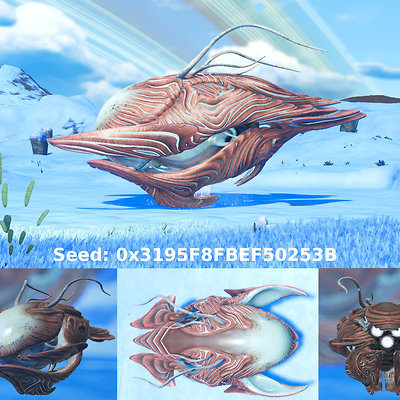 seed image