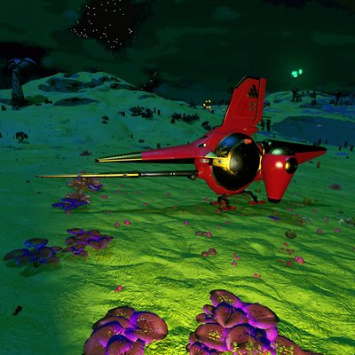 seed image