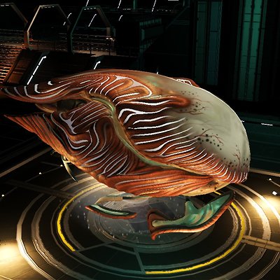seed image