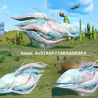 seed image