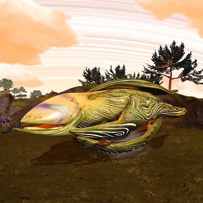 seed image