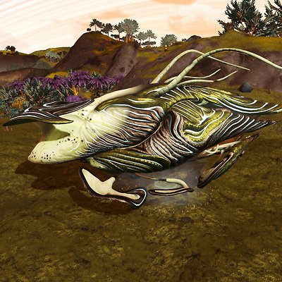 seed image