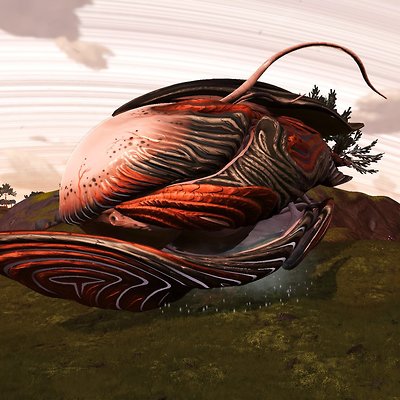 seed image