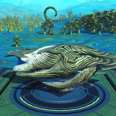 seed image