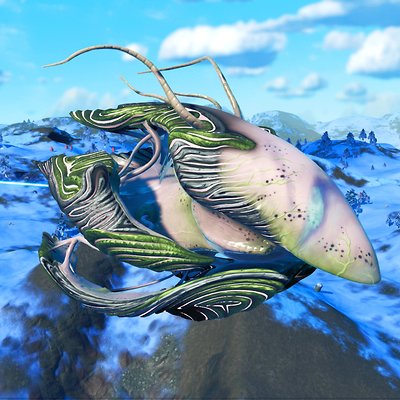 seed image