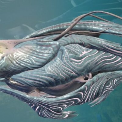 seed image