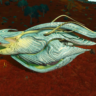 seed image
