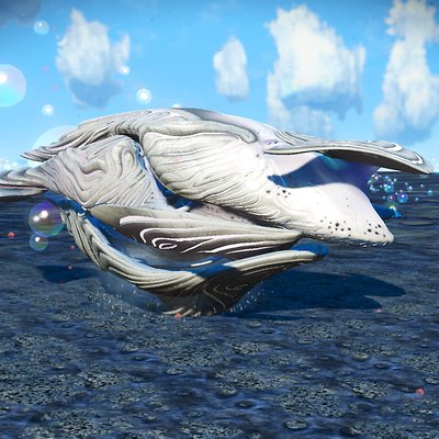 seed image