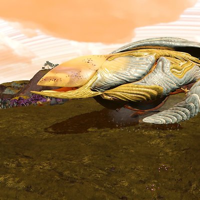 seed image