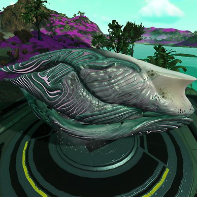 seed image