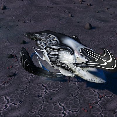 seed image