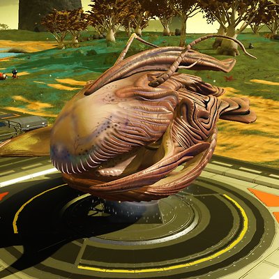 seed image