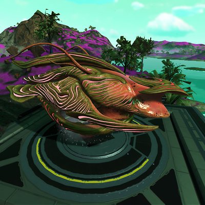 seed image