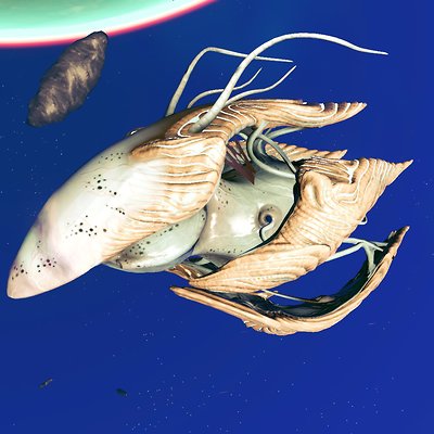 seed image
