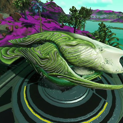 seed image