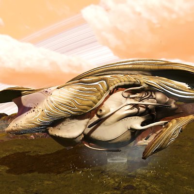 seed image