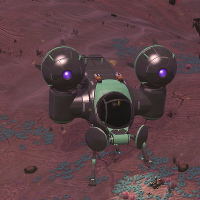 seed image