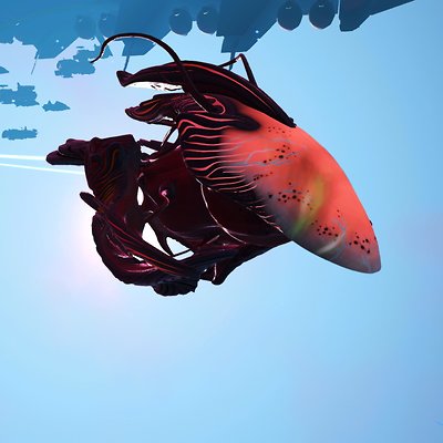 seed image