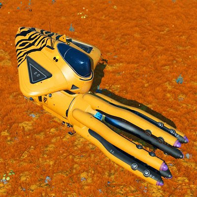 seed image