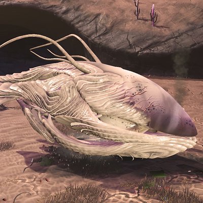 seed image