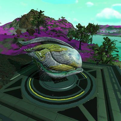 seed image