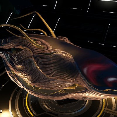 seed image