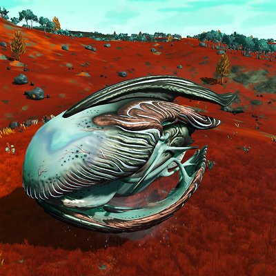 seed image