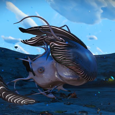 seed image