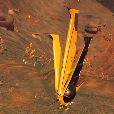 seed image