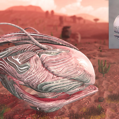 seed image