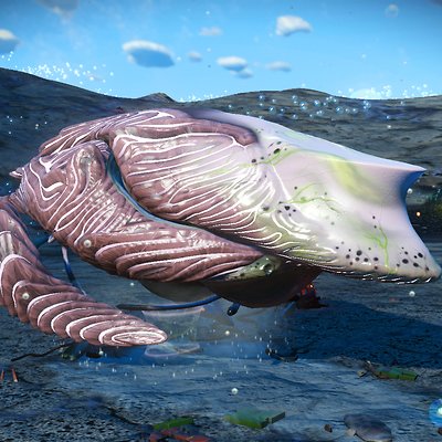 seed image