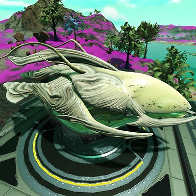 seed image
